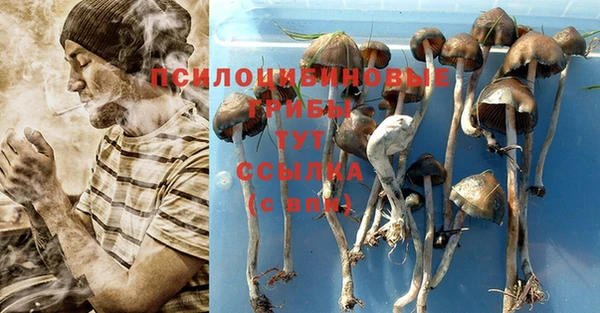 героин Чекалин