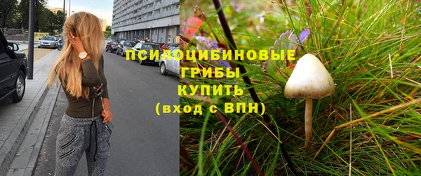 герыч Зеленодольск