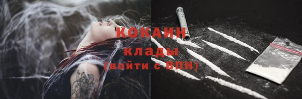 крисы Зерноград