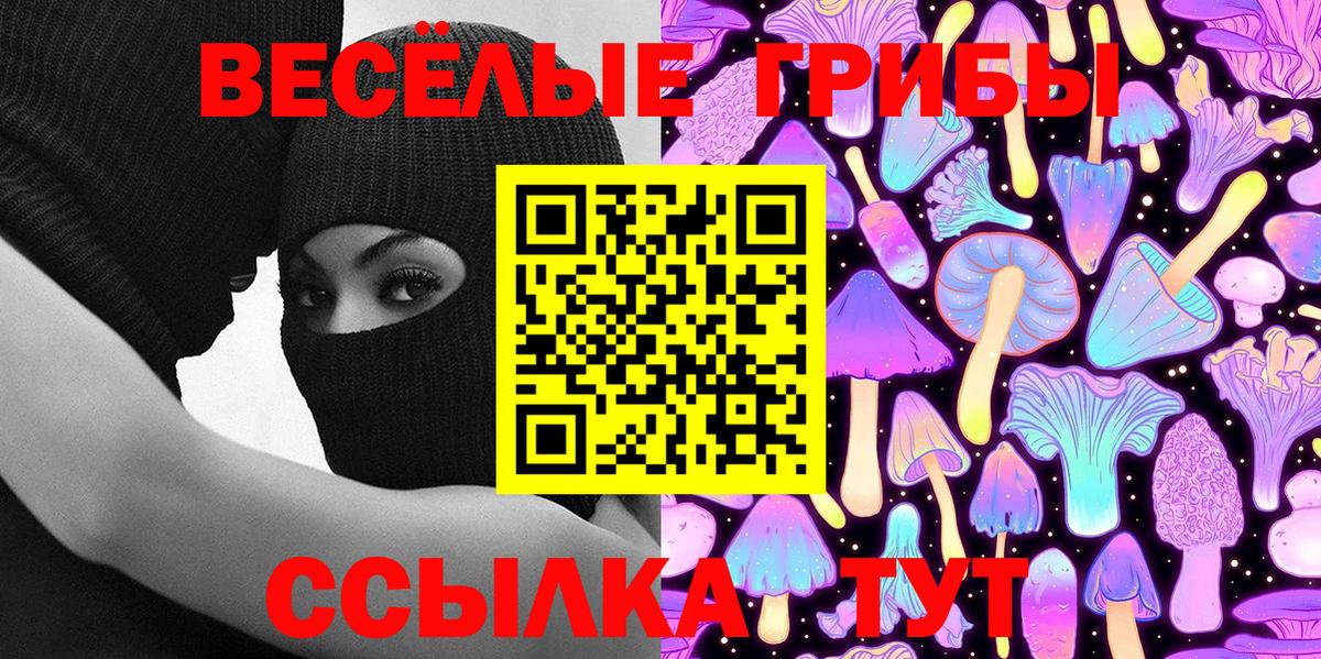 Псилоцибиновые грибы мицелий  Вход с VPN  Сегежа 