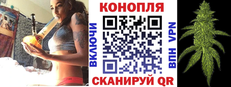 кракен онион  купить закладку  Сегежа  Бошки Шишки планчик 